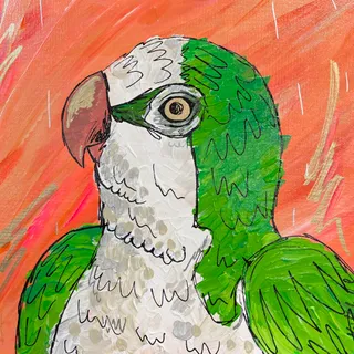 A painting of a green quaker parrot on an orange background.